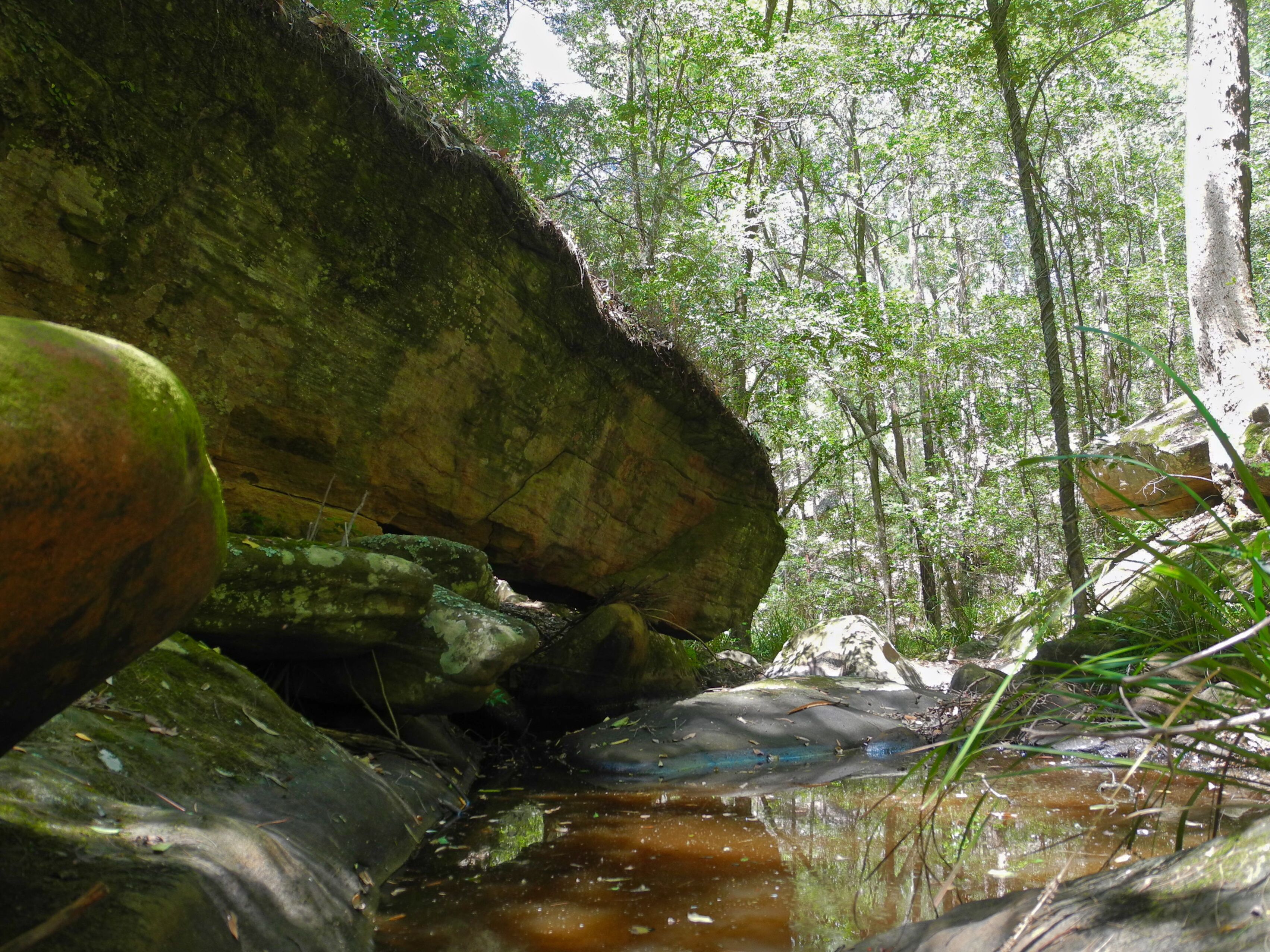 “Six Oaks” Wilderness Retreat — image 29