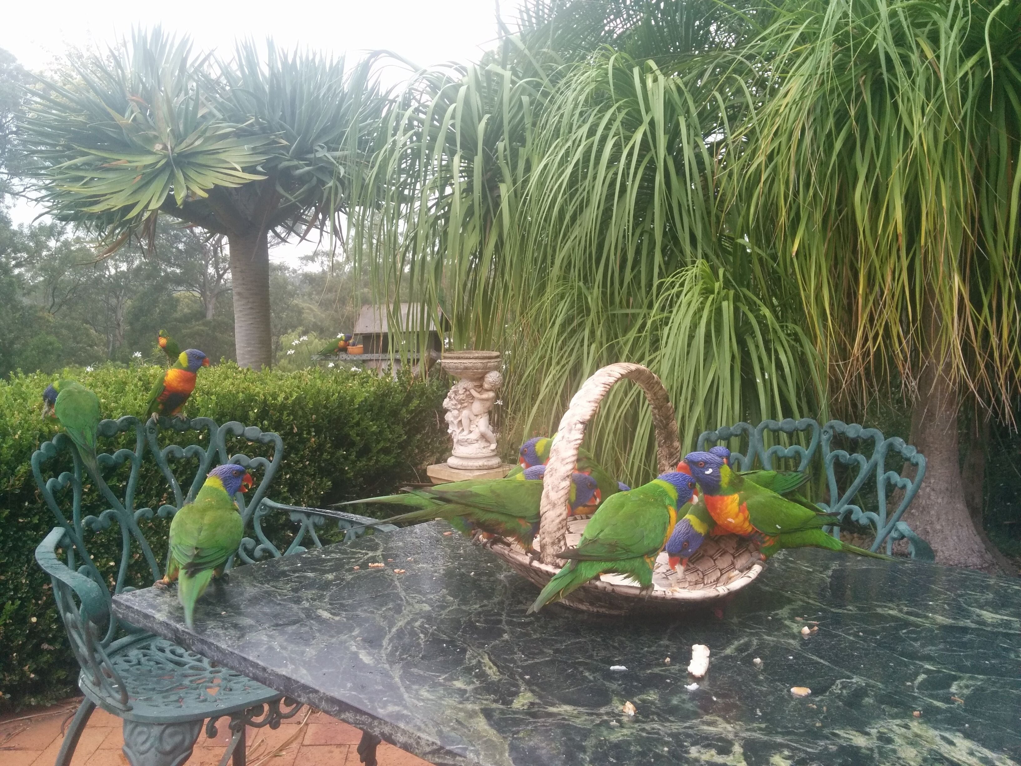 “Six Oaks” Wilderness Retreat — image 26