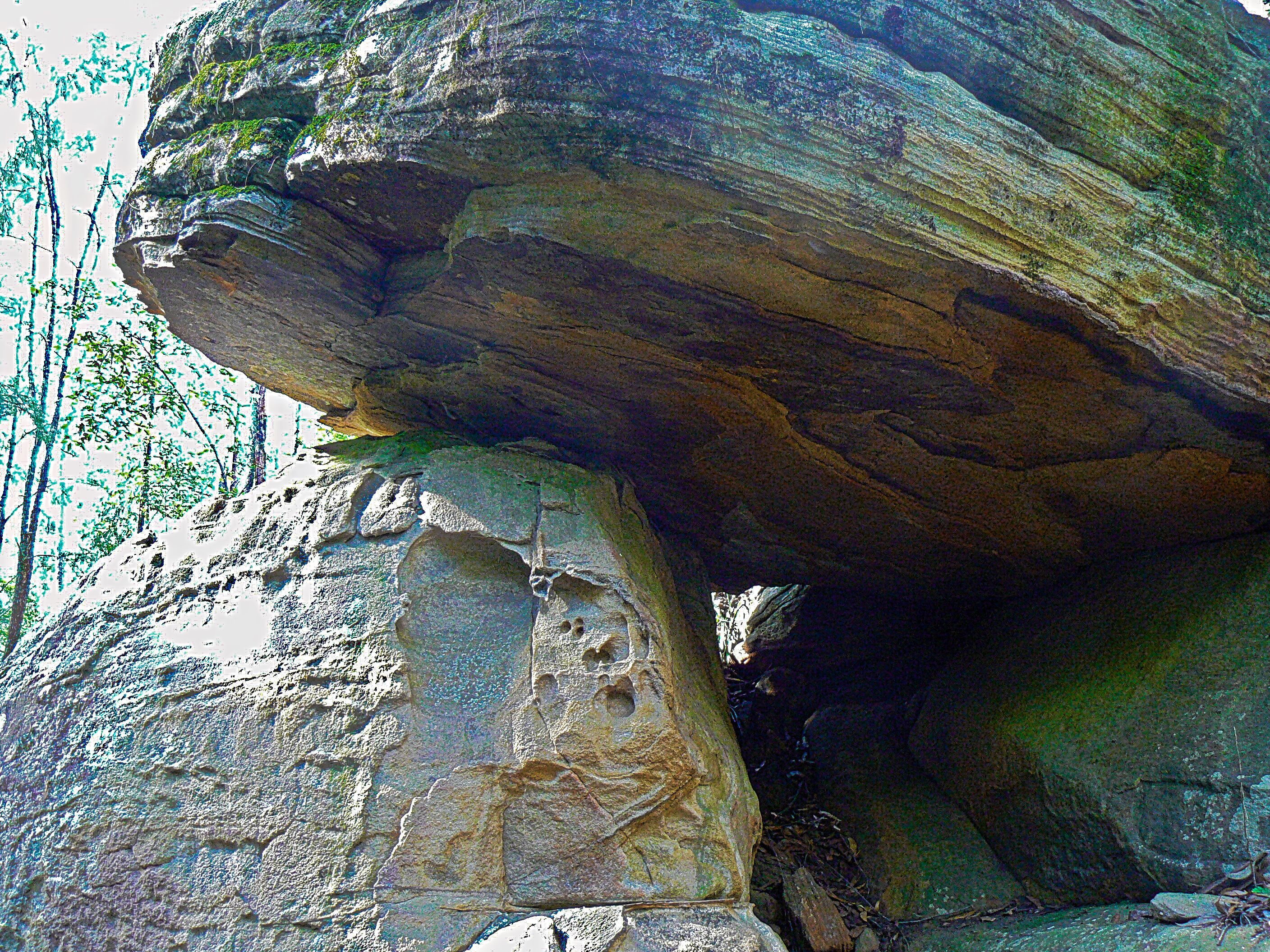 “Six Oaks” Wilderness Retreat — image 28