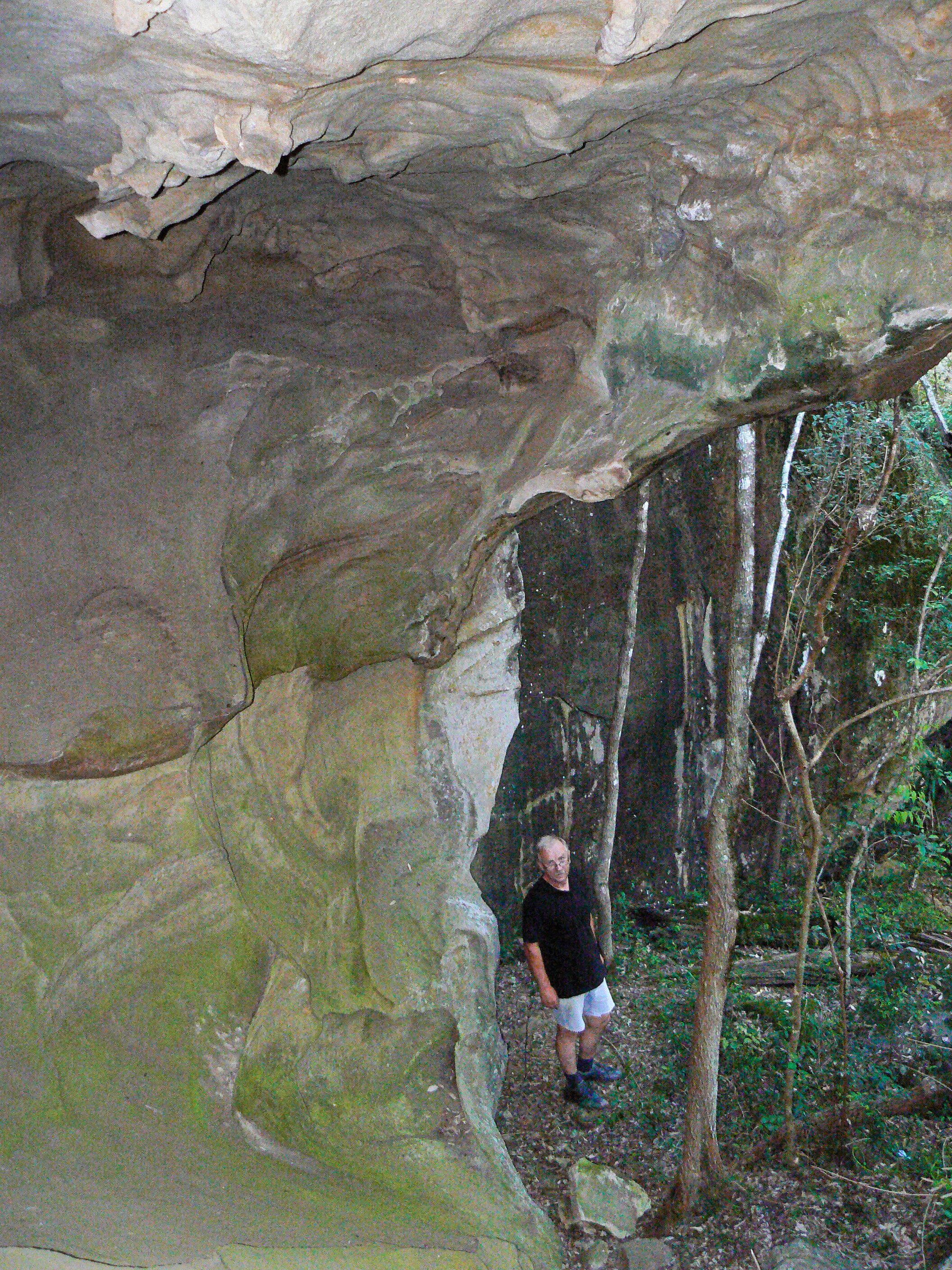 “Six Oaks” Wilderness Retreat — image 3