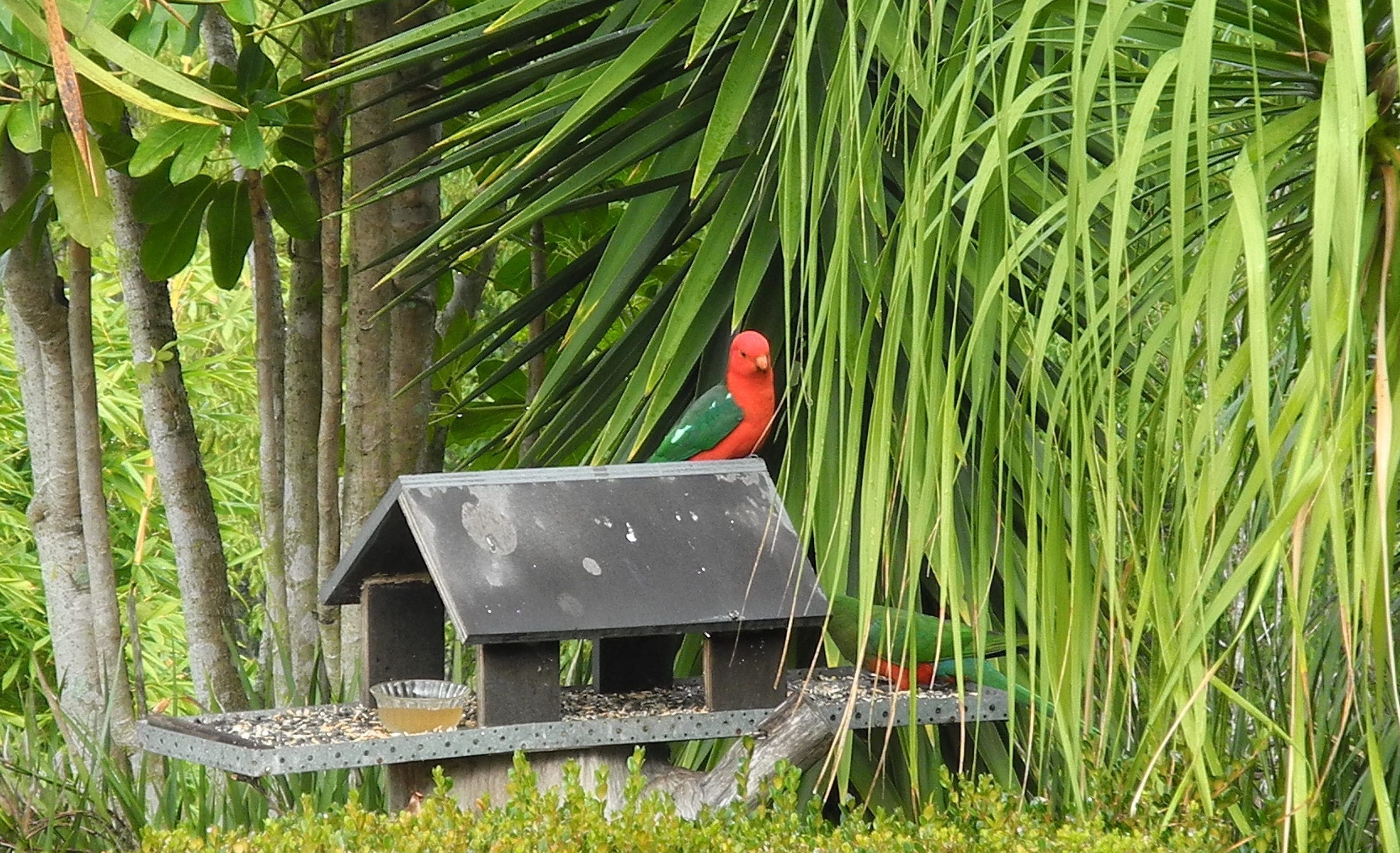 “Six Oaks” Wilderness Retreat — image 25