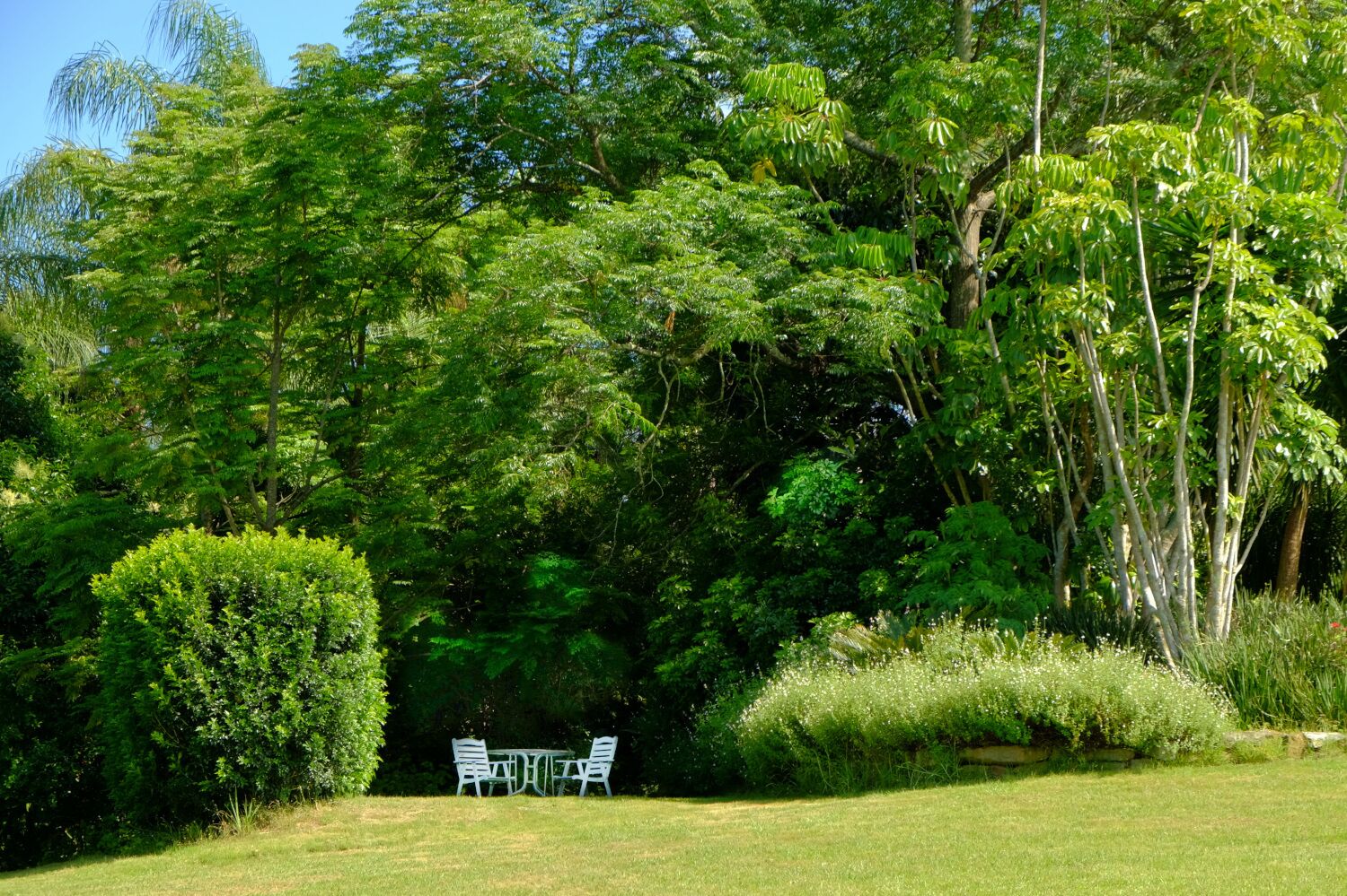 “Six Oaks” Wilderness Retreat — image 21