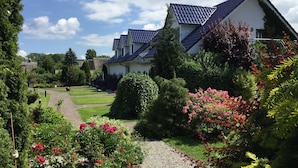 Un quartiere residenziale con diverse case, un vialetto sterrato e una vegetazione rigogliosa.