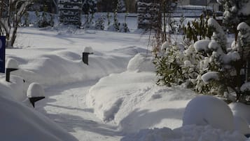 Schneebedeckte Landschaft mit Pflanzen und einem Gebäude im Hintergrund.