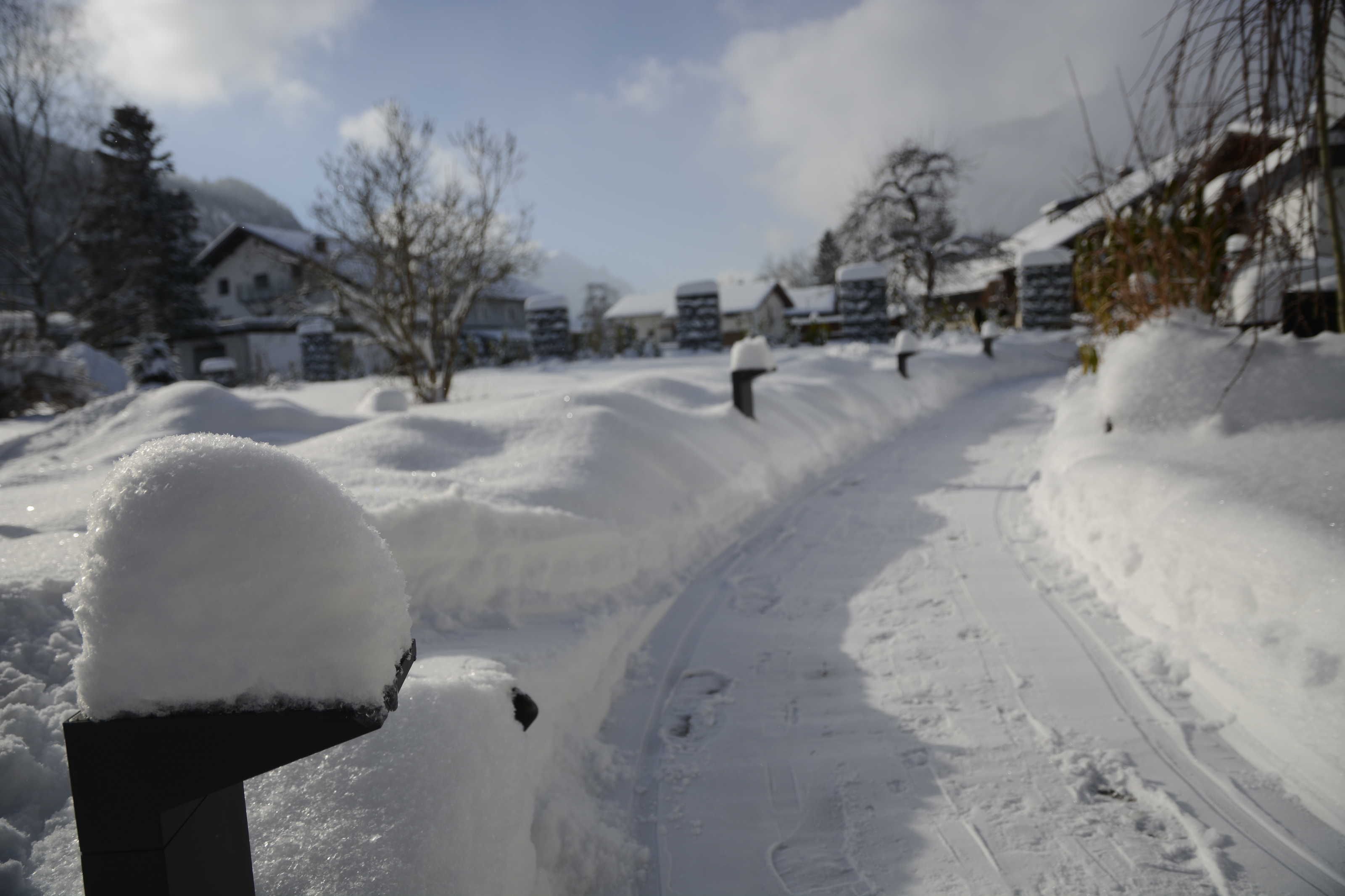 A snowy residential street with houses, a clear sky, and a snow-covered mailbox.