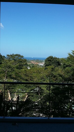 Vista desde la propiedad