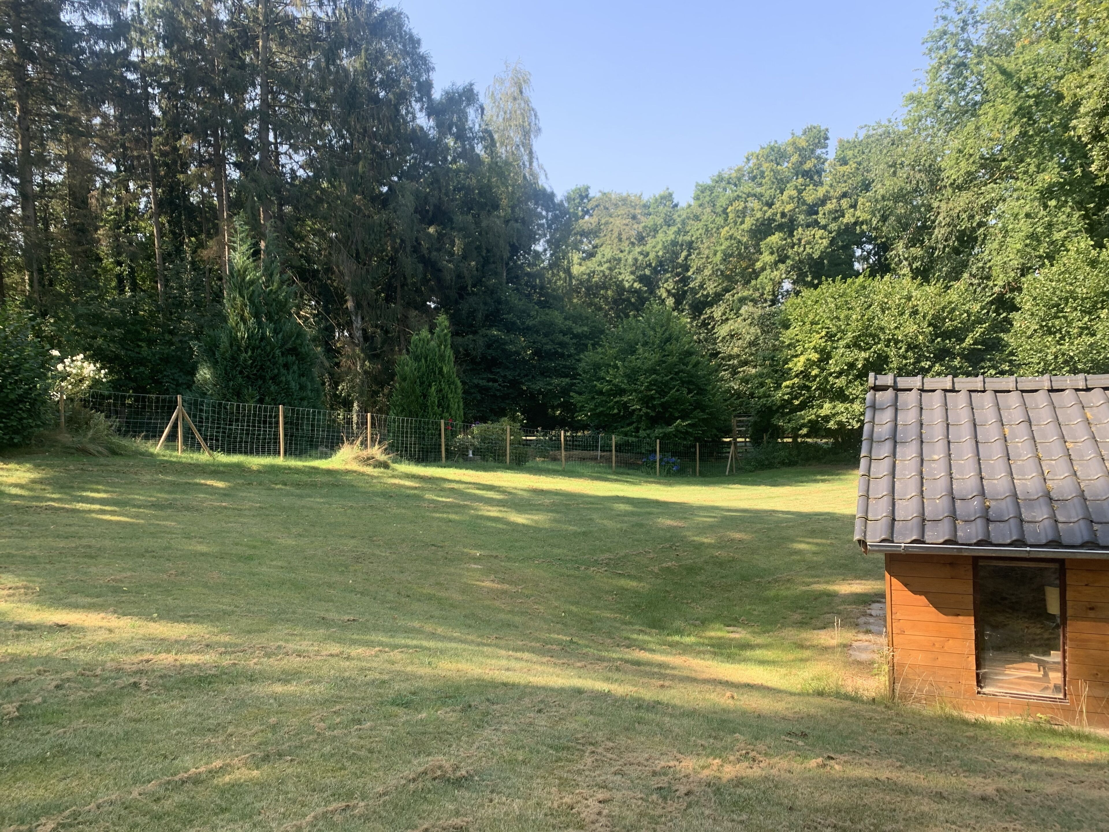 Une cour clôturée avec un chalet en bois et de grands arbres.