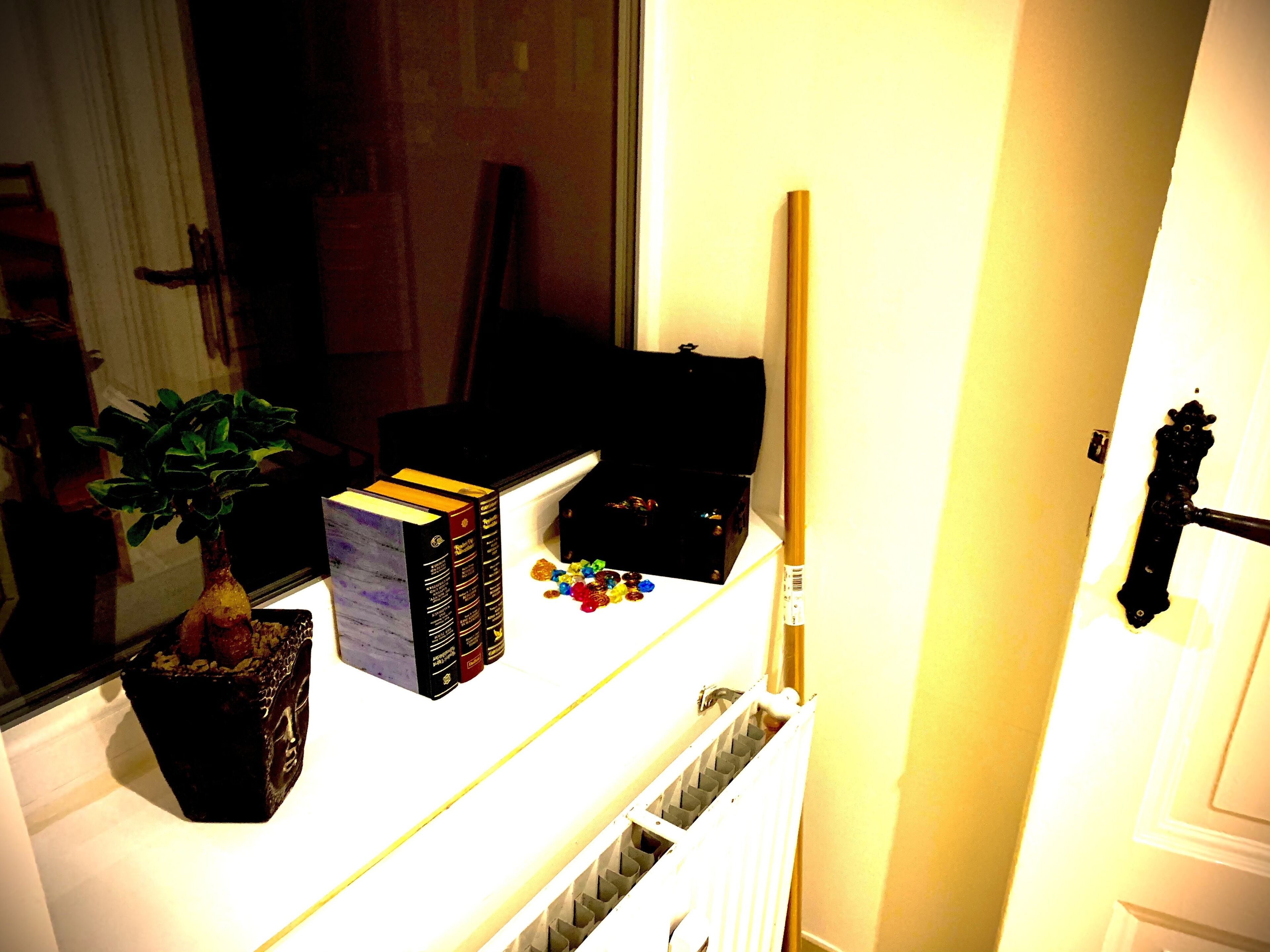 Una habitación con un escritorio, una planta en maceta, una maleta negra y una ventana.