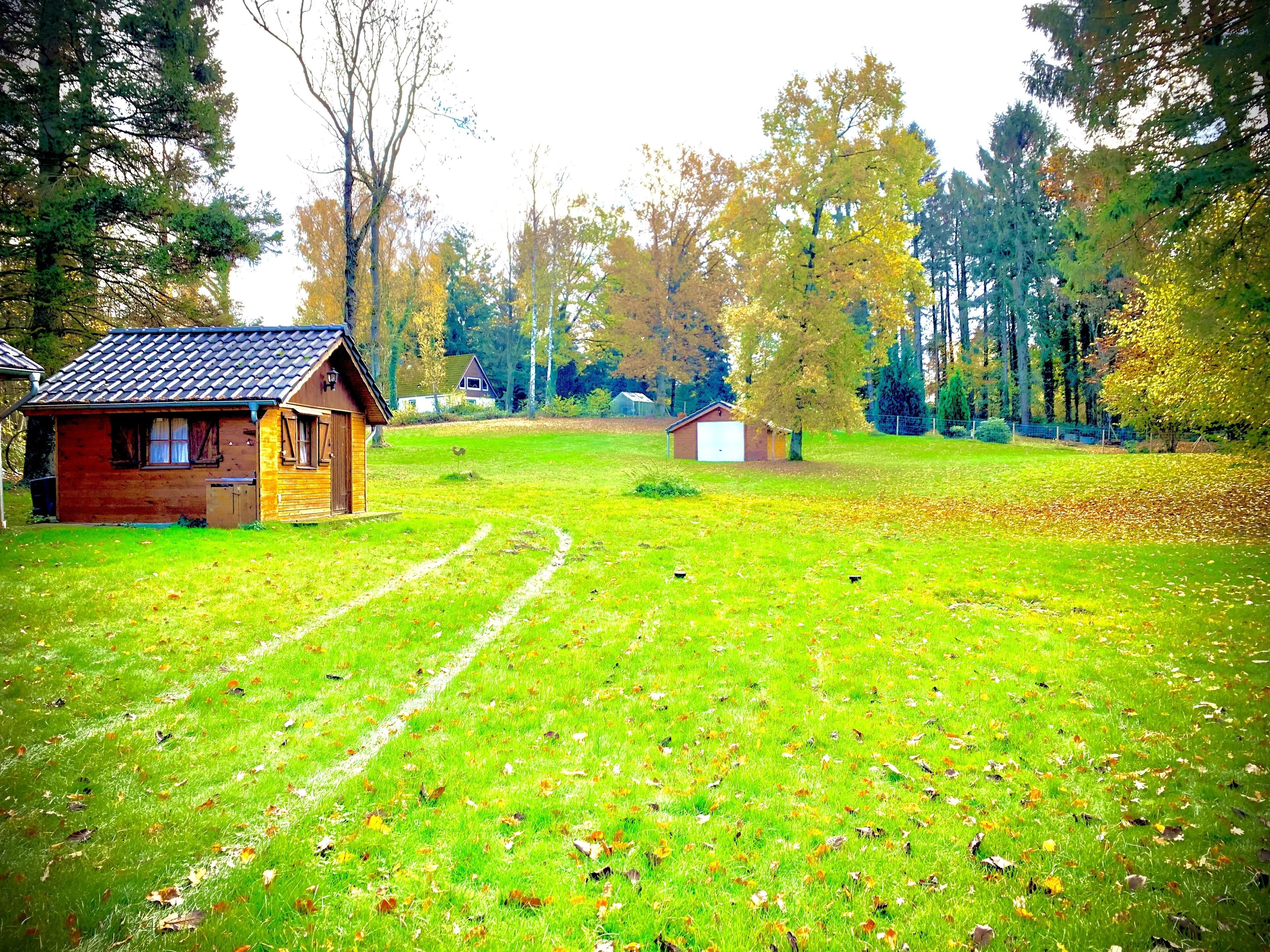 Uma cabana rústica com telhado inclinado, rodeada por um campo gramado e árvores.