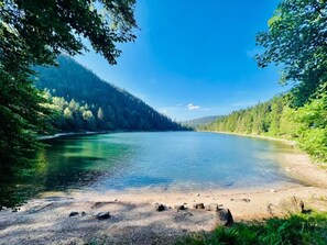 A serene lake surrounded by dense forest, clear skies, and a calm shoreline. - Chalet in La Bresse with Valley Views (La Bresse)