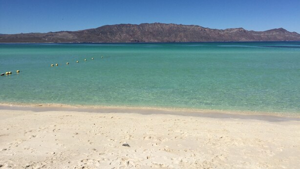 A beach with clear turquoise water, a sandy shore, and distant mountains. - Loreto80-NEW Studio Palma, in downtown by beach (Loreto)