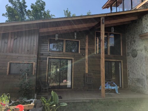 Connect with the Chilean native forest