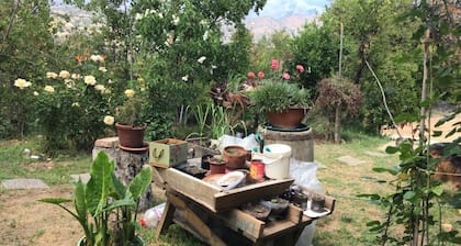 Conéctese con el bosque nativo Chileno