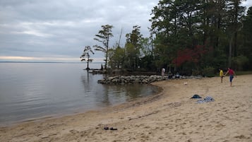 在海灘附近、躺椅