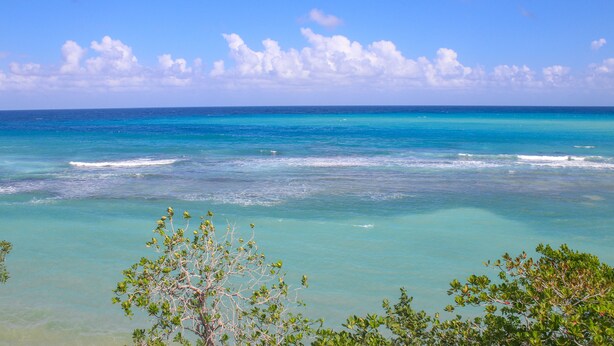 A clear view of turquoise ocean waters with gentle waves, surrounded by lush green vegetation. - Rica Vista Beach Cottages (Boscobel)