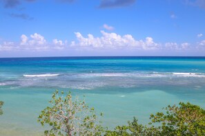 A clear view of turquoise ocean waters with gentle waves, surrounded by lush green vegetation. - Rica Vista Beach Cottages (Boscobel)