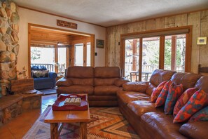 Télévision, cheminée, lecteur de DVD