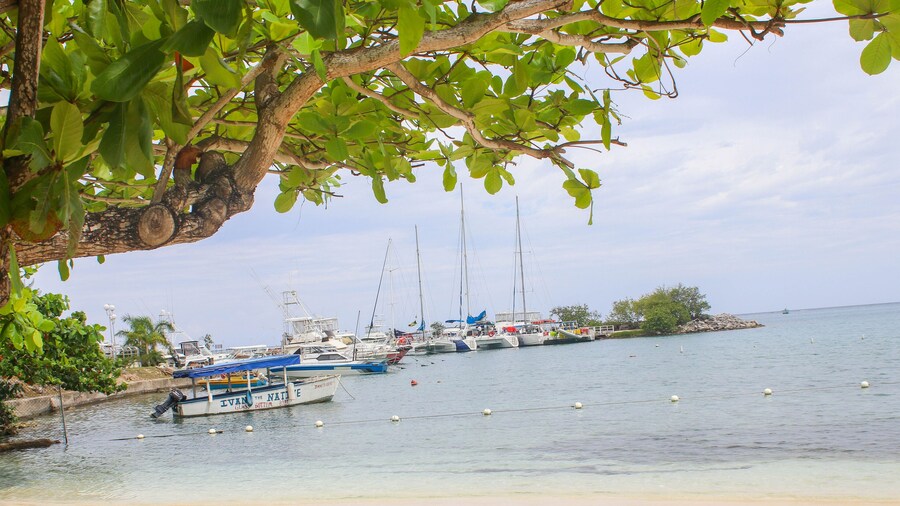 Fisherman's Point Beach Resort