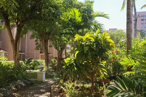 Jardim