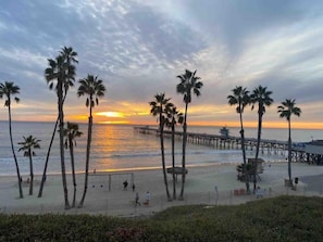 A beach with palm trees, a pier, and a sunset. - Yard, Dog, & Kid Friendly! -Blue Whale Inn #C (San Clemente)