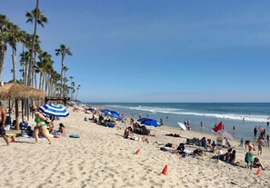 A crowded beach with palm trees, umbrellas, and people relaxing. - Yard, Dog, & Kid Friendly! -Blue Whale Inn #C (San Clemente)