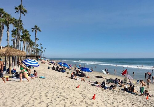 Yard, Dog, & Kid Friendly! -Blue Whale Inn #C