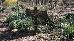 A wooden sign with the text "Rockingham Springs Arboretum" and "EST. 1991" in a natural setting with trees and flowering plants.