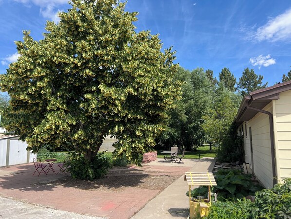 A tree-lined courtyard with a patio area, outdoor furniture, and a building with a brown roof. - Small Town Living in Power, Montana (Power)