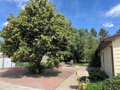 Small Town Living in Power, Montana