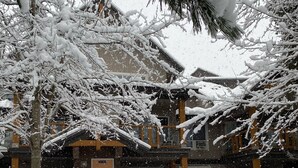 A building with a snow-covered exterior and a visible entrance door.