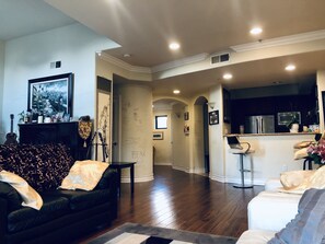 Smart TV, fireplace, video games, DVD player