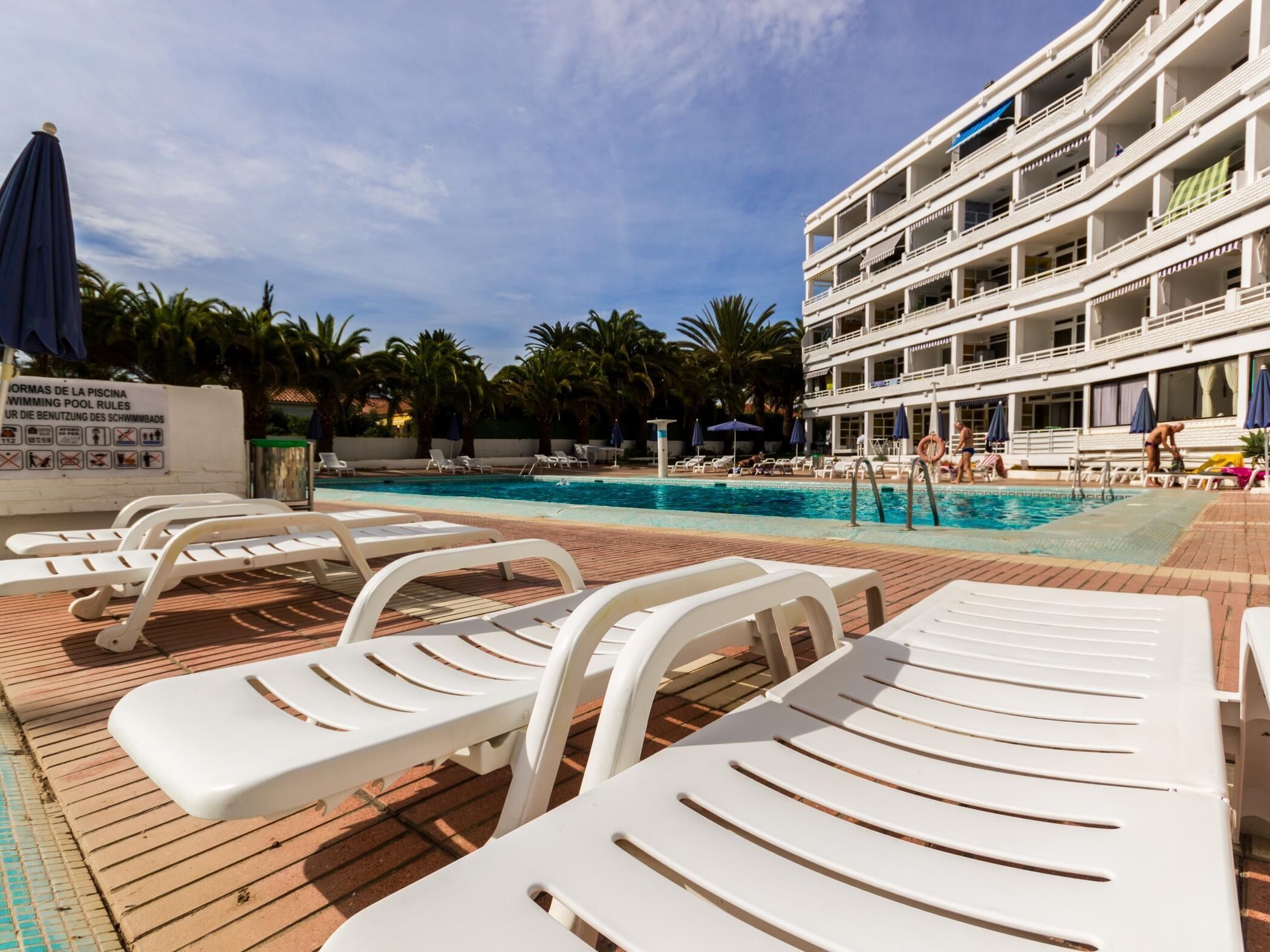 Un espace piscine avec des chaises longues blanches, des palmiers et, en arrière-plan, un immeuble d’hôtel à plusieurs étages.