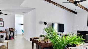 TV, fireplace, music library, stereo