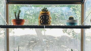 Een raam met twee plankjes waarop verschillende potplanten en een decoratie staan.