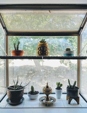 A window with two shelves holding various potted plants and a decorative item. - Campero House: Meditation Room & Near Joshua Tree (Yucca Valley)