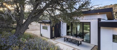 Una casa moderna con un patio, ventanas amplias y un árbol en primer plano.