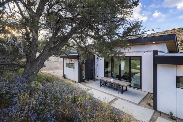 A modern house with a patio, large windows, and a tree in the foreground.