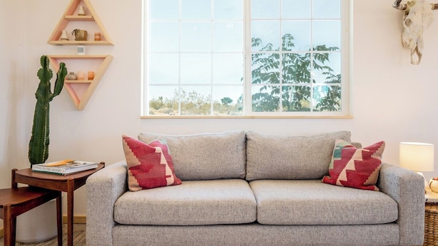 A living room with a grey sofa, two cushions, a cactus, a wooden shelf, a window, and a cow skull decoration. - Flamingo Ranch - Dreamy Desert Design (Yucca Valley)