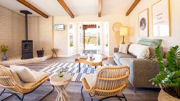 TV, fireplace, ping pong