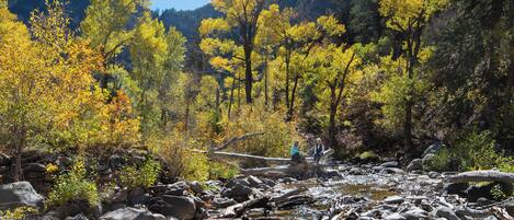 A natural landscape with a river, rocks, and trees.