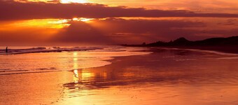 Sunny Beach Bach with peaceful backyard