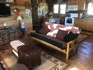 Smart TV, DVD player, books, video library