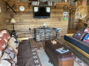 Smart TV, DVD player, books, video library - Cedar Cabin in the Woods - Longview, Tx (Longview)