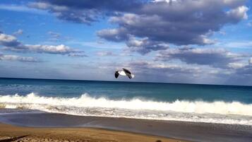 Sun-loungers, beach towels