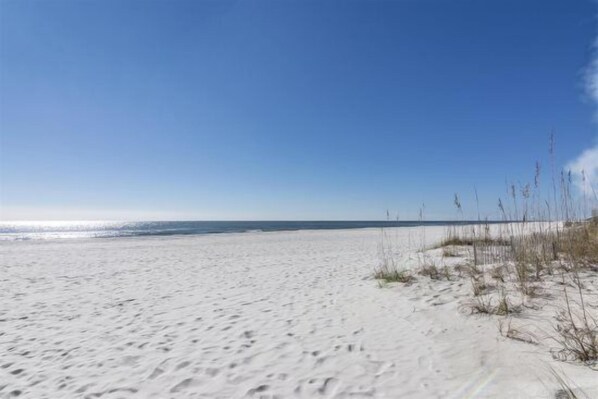 Enjoy a serene beach experience with fine sand and lush vegetation.