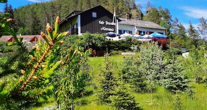 Café-Pension Krems - Doppelzimmer