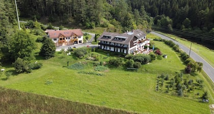 Café-Pension Krems - Double room