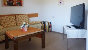A living room with a sofa, a coffee table, a television, and two paintings on the wall. - Café-Pension Krems - Double room (Waischenfeld-Heroldsberg-Tal)