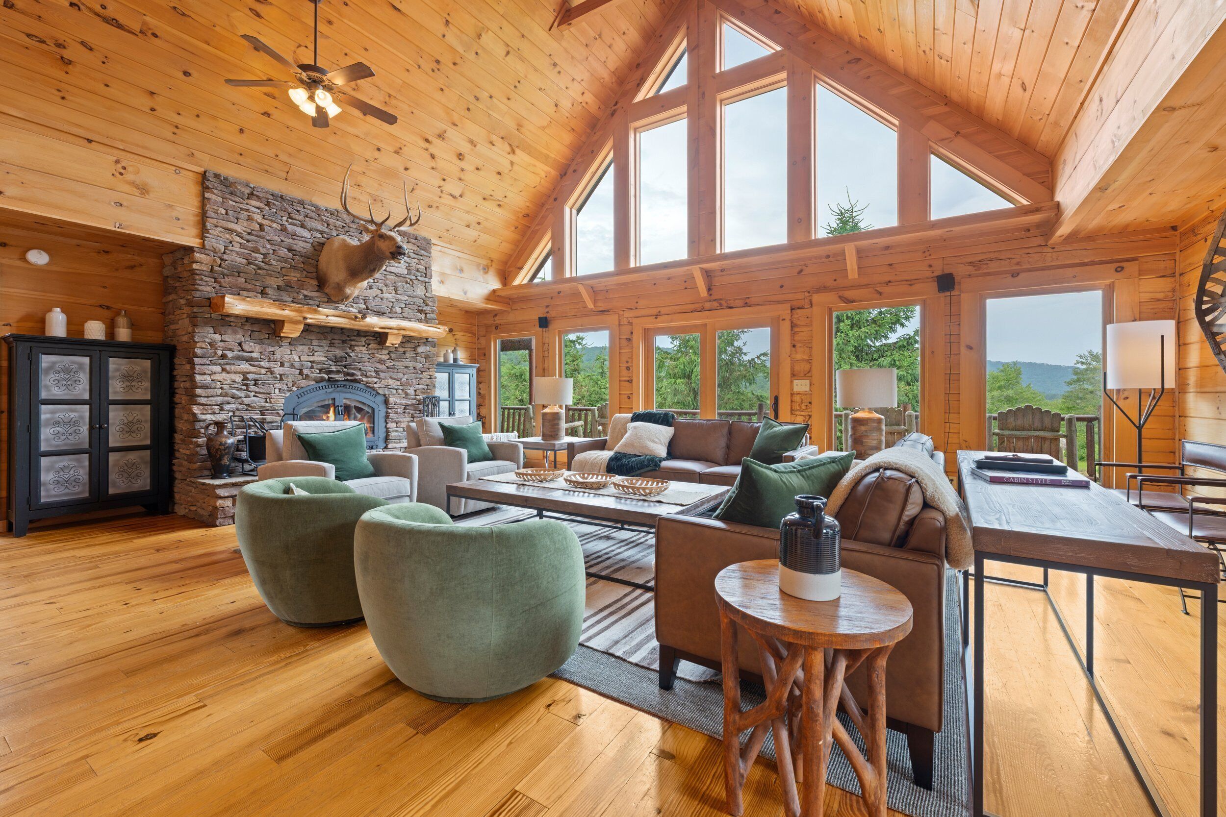 TV, fireplace, video games, stereo