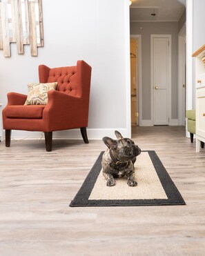 Interior - In the Heart of the Sandhills (Aberdeen)